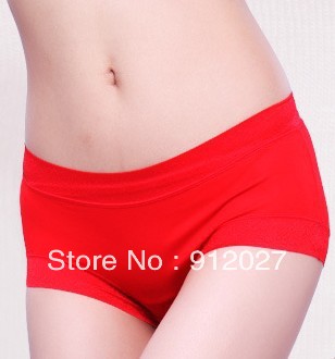 Free Shipping 10PCS/Lot women's sexy underwears  panties for women underpants