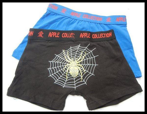 Free Shipping 12pcs/Lot European Famous Brand Stock Spider Web Children Panties Mix-Wholesaler 100% Cotton Underwear121013#1