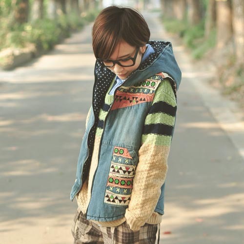 free shipping 2012 fresh  exquisite embroidery denim with a hood cotton vest women