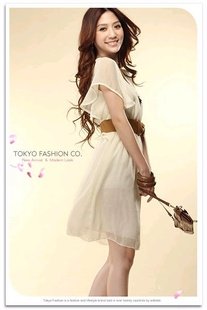 Free Shipping,2012 hot sell,New women's casual chiffon dress ,pure dress