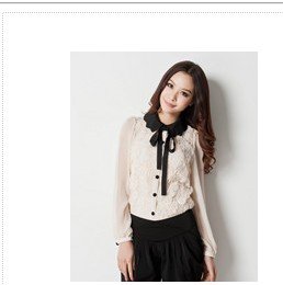 Free shipping 2013 fashion lace women blouses///big size high quality ladies blouse/women's shirts, :L/XL/XXL/XXXL/XXXL