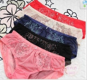 Free shipping  2013  Rose Lace embroidery, breathable mesh Triangle triangular pants 9048K