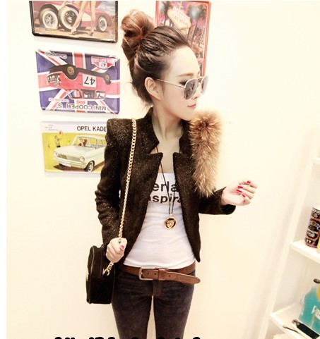 Free Shipping 2013 Spring NEW Women's  bronzier raccoon fur stand collar coat  overcoat