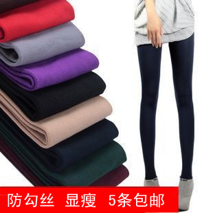 Free shipping 5pcs/lot hot sale women Stockings wire multicolour  thickening female  pantyhose