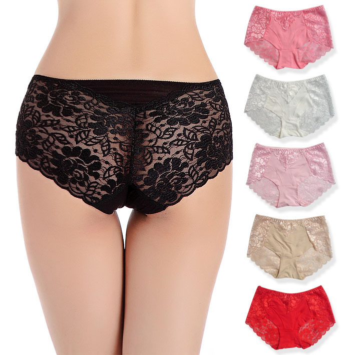 Free Shipping 5pcs/lot Panty full lace plus size mid waist seamless Transparent sexy women panties V091