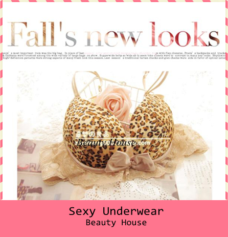 Free shipping a sexy lace leopard W cup bra sets lady sexy comfortable bra sets F0068