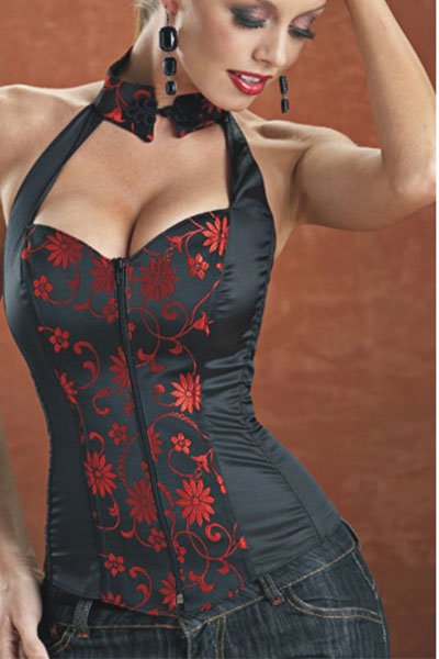 Free Shipping! Alisa Collared Corset Zipper Sexy lingerie, Bustier Basques Waist Cincher 209-XY