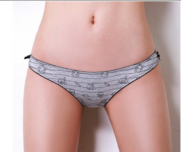 Free shipping.Cotton Underwear,hot sale briefs.,Fashion underwear,