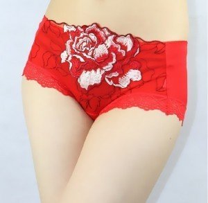 Free shipping Embroidery relief peony flower lace underwear, sexy charming ,shorts pants,Six color,NK034