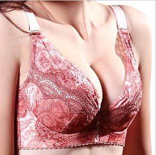 FREE SHIPPING High quality lace bra sets Full Cup B C D E Women bra sets