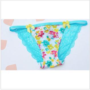 Free Shipping Hot Sale Soft Lace Sexy Women Panties 10Pcs/lot Low-rice Underwear Wholesale