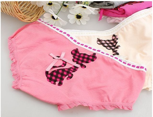 Free Shipping Hot Sales Cute Kittens Lace Panties Bow Cotton Sexy Ladies Underwear Triangle Panties HZX0002