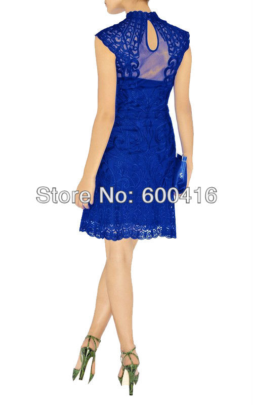 Free Shipping Lace Embroidered Mesh  Dress 120105KM01