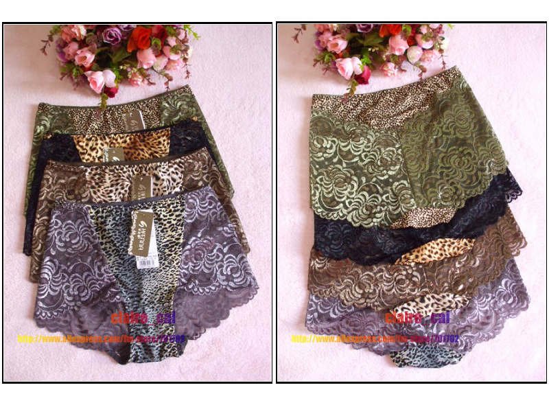 Free shipping Lot 4pcs 4colors High wasit leopard Thin Mesh Floral translucent sexy panties briefs women underwear Grey