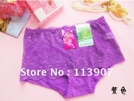 Free shipping Moistureproof antibacterial deodorant bamboo fiber ladies underwear, and purple