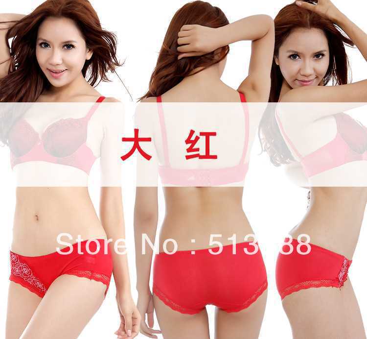 Free shipping N2073 the roses Ms. underwear sexy briefs, women's underwear holiday gift