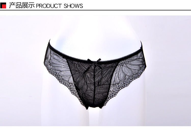 Free shipping new style  briefs  Genuine Butterfly Lovers Sexy lace low-waist panties Hip briefs