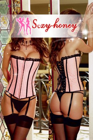 Free Shipping!Pink Corset With Black Trim Sexy Lingerie-LD-10383