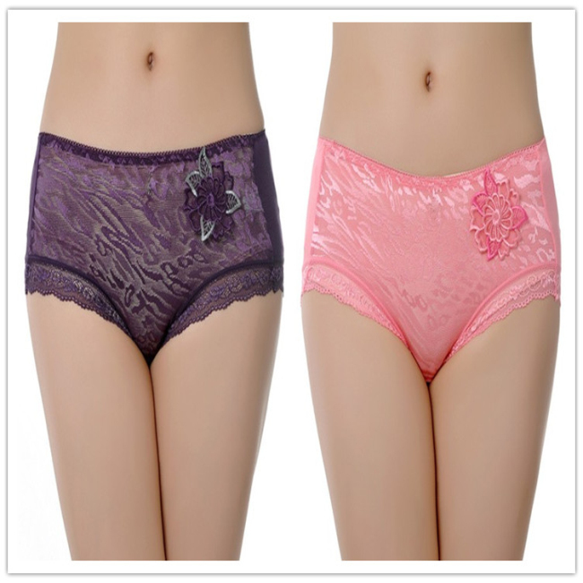 Free Shipping Seamless Underwear For Women Panties Briefs Lace Shorts Sexy Comfortable Under Wear