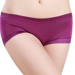 Free Shipping Seamless underwear pure modal underwear for women, waist and lace Seamless woman. underwear/Support the wholesale