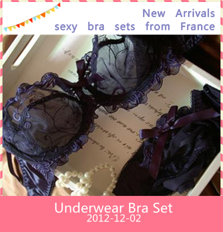 Free shipping sexy transparent bra underwear embroidered gauze thin navy blue big size sexy lady bra sets drop shipping F0052