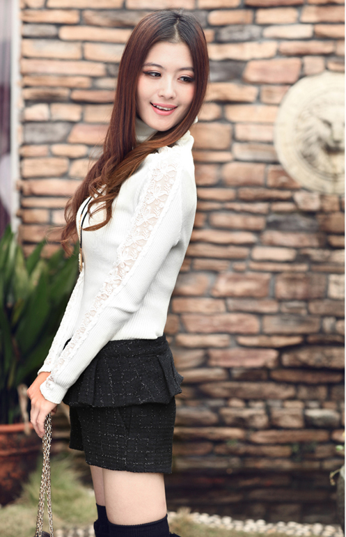 free shipping Small 2012 turtleneck sweater fashion lace sleeve slim basic sweater ax061