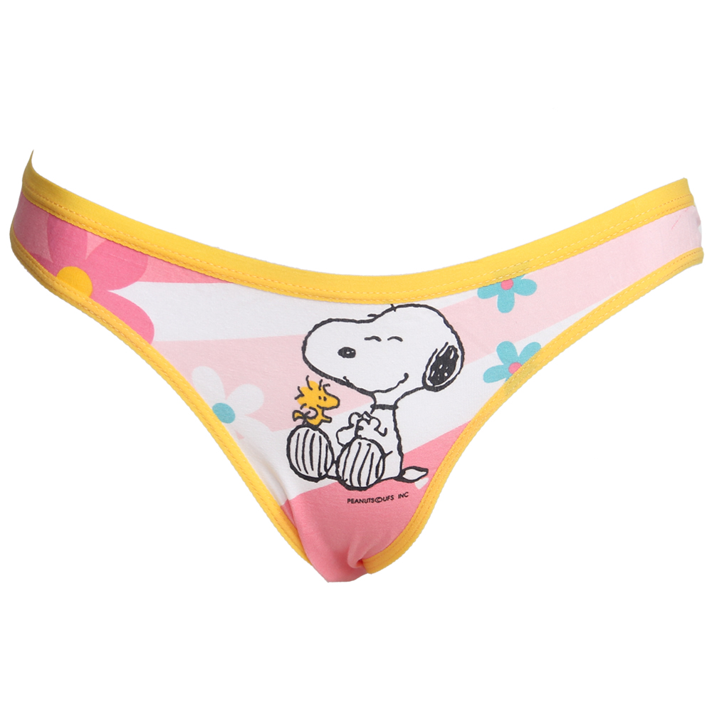 Free Shipping SNOOPY cartoon women's panties original package 2 colors