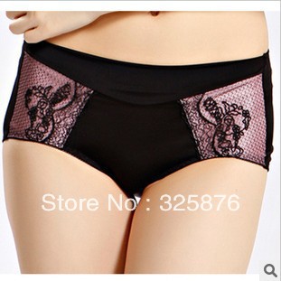 Free shipping the 2 colors stereotypes of thin Leggings anti emptied breathable embroidery briefs sexy women underwear BR-097