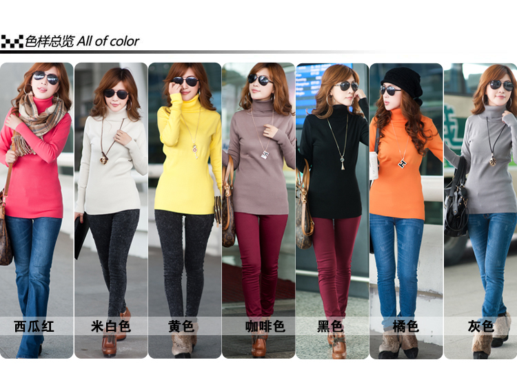 Free Shipping Turtleneck/ female/ women's/ outerwear /sweater/ basic