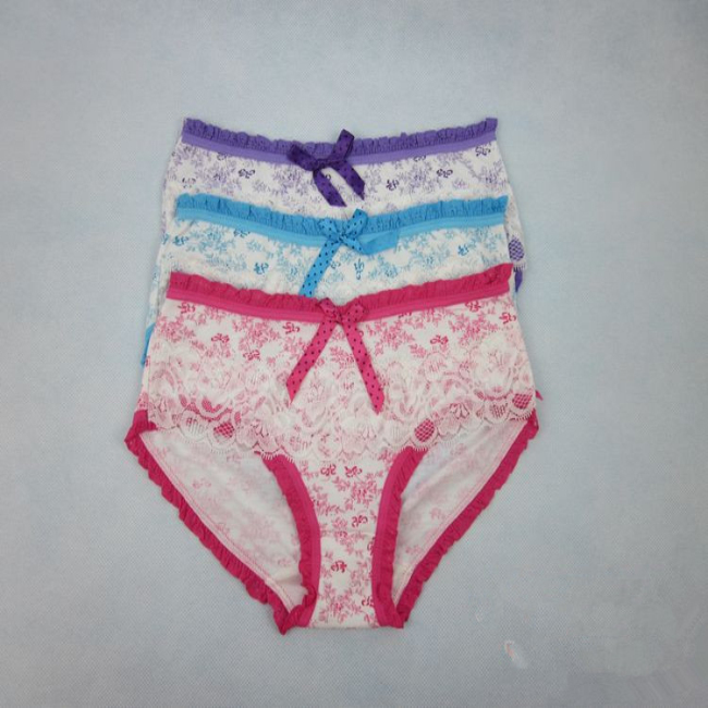 Free Shipping Underwear Women Sexy Panties Cotton Lace Underwear Briefs Sexy Lingerie Mixed Color