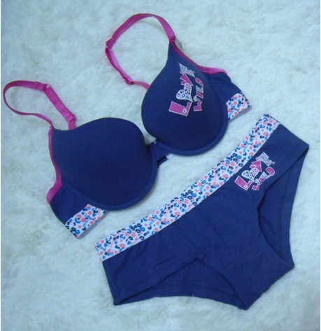 Free Shipping VS Bra sets Black PinK Blue color Women's Lingerie bras wholesale