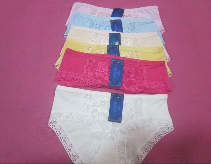 Free Shipping Wholesale 12PCS/Lot New Cotton lingeries sexy women /Women's Underwear / Women's briefs/  Underwear