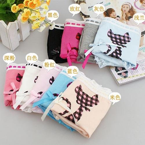 Free Shipping Wholesale 6 PCS/lot Sexy Cotton Women Panties Bowknot Lace Briefs Cute Cat Underwear Multicolor