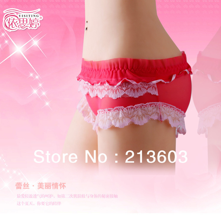 Free Shipping Wholesale 6PCS/lot Sexy Women Guaze  Underwear + Women's Briefs + Low Waist ,2160