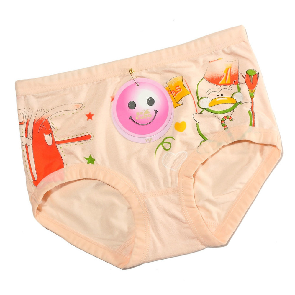 Free Shipping Wholesale Cartoon Underewear Children Underwears Kids Briefs Girl's Panties 24pcs/lot