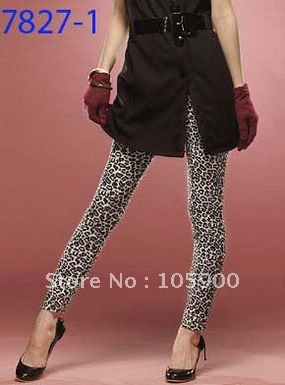 FREE SHIPPING! wholesale mixed order,10pcs/lot,stocking, ladies' leggings,fashion leggings,DL7827-1m