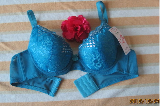 Free shipping Women fashion Floral lace brassiere good quality brassiere 10pcs/lot Multi-colors 34/75,36/80,38/85 Cup B