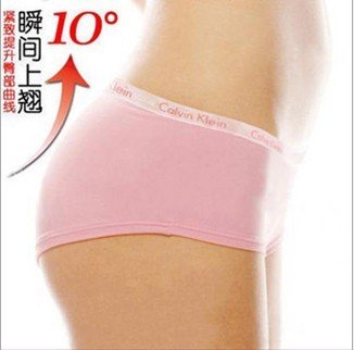 Free shipping/women's briefs sexy underwear 93%modal women's underwears 12color