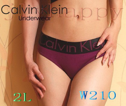 Free shipping!!!Women's briefs / underwear / pants / belts CK04