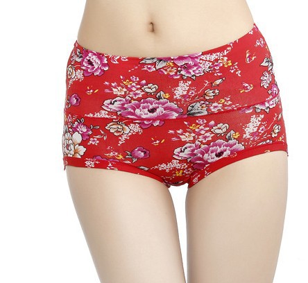 Free Shipping !!women's  underwear / Bamboo Fiber / comfrotable briefs / women's panties /four styles /mix colors