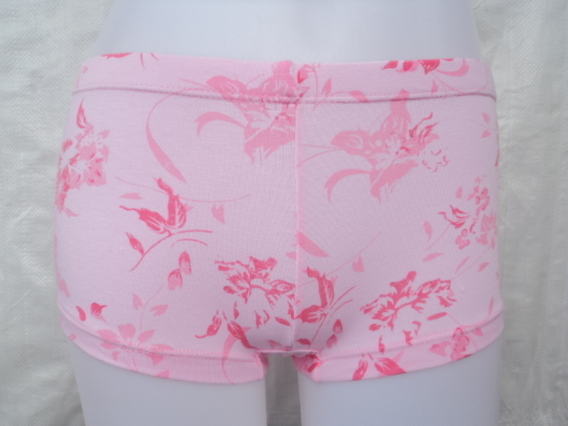 Free Shipping  womens bamboo fibre briefs / ladies ' modal boxer underwear /  women's basic print briefs