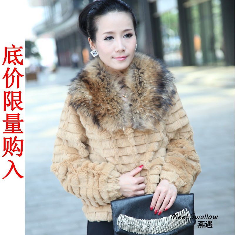 Freeshipping fur outerwear 2012 rex rabbit plush rabbit fur raccoon