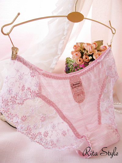 Gentle _ embroidered underwear women sexy underwear lady underwears RD421