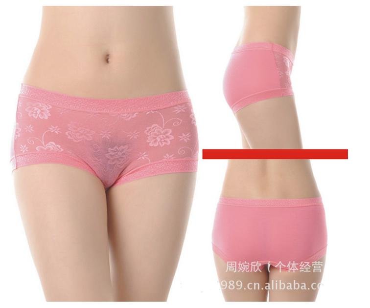 HOT 10 colors sexy ladies panties women's lace seamless briefs regeneration factor fibers high quality panties 925# A09