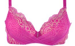 HOT! new  sexy bra ladies bra  women's bra free shipping A B CUP