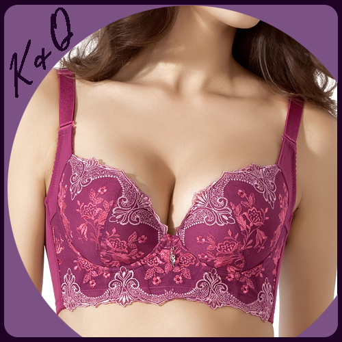 Hot Sale Beautiful Design Embroidery Bras A, B, C Cup Good for Push Up Lady's Bra Sets Sexy and Elegant Style BC1029