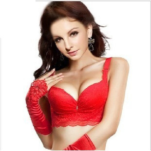 ladies' fasion Sexy lace the body bra set  lenny 2388 B cup  Free shipping