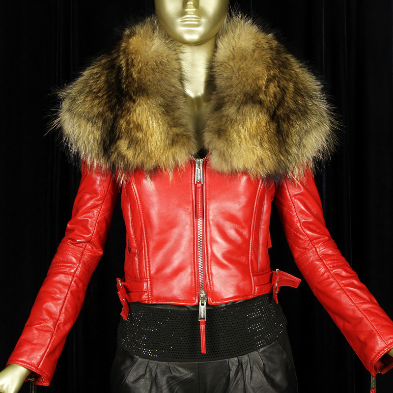 Large raccoon fur leather jacket 2012 genuine leather clothing raccoon fur motorcycle sheepskin outerwear female