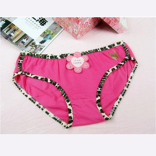 Leopard women underwear high quality cotton 29*17CM 10 PCS/lot free shipping