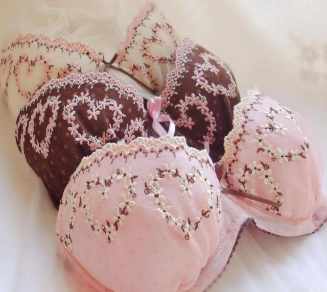 Lovely heart embroidery dot underwear bra set